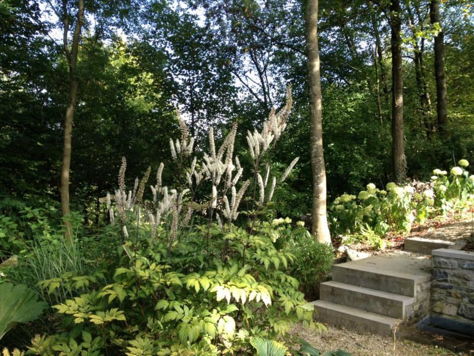 Ardenne BnB Marche-en-Famenne Exterior foto